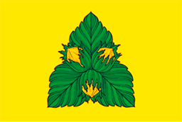 Orehovoborisovo.su