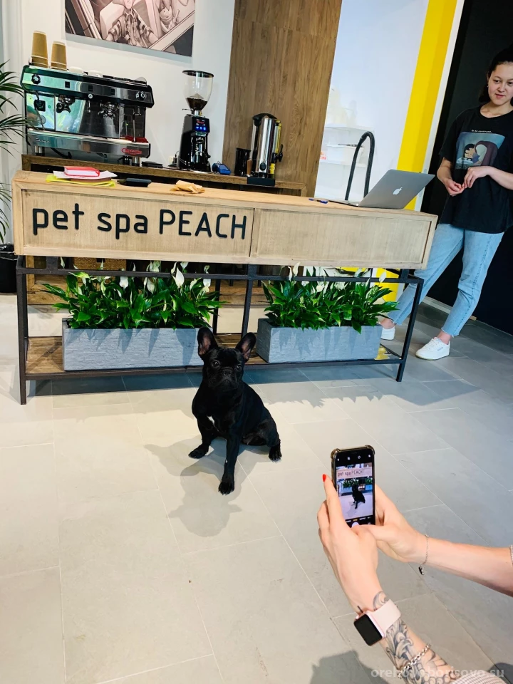 Груминг-салон Pet SPA peach Изображение 6