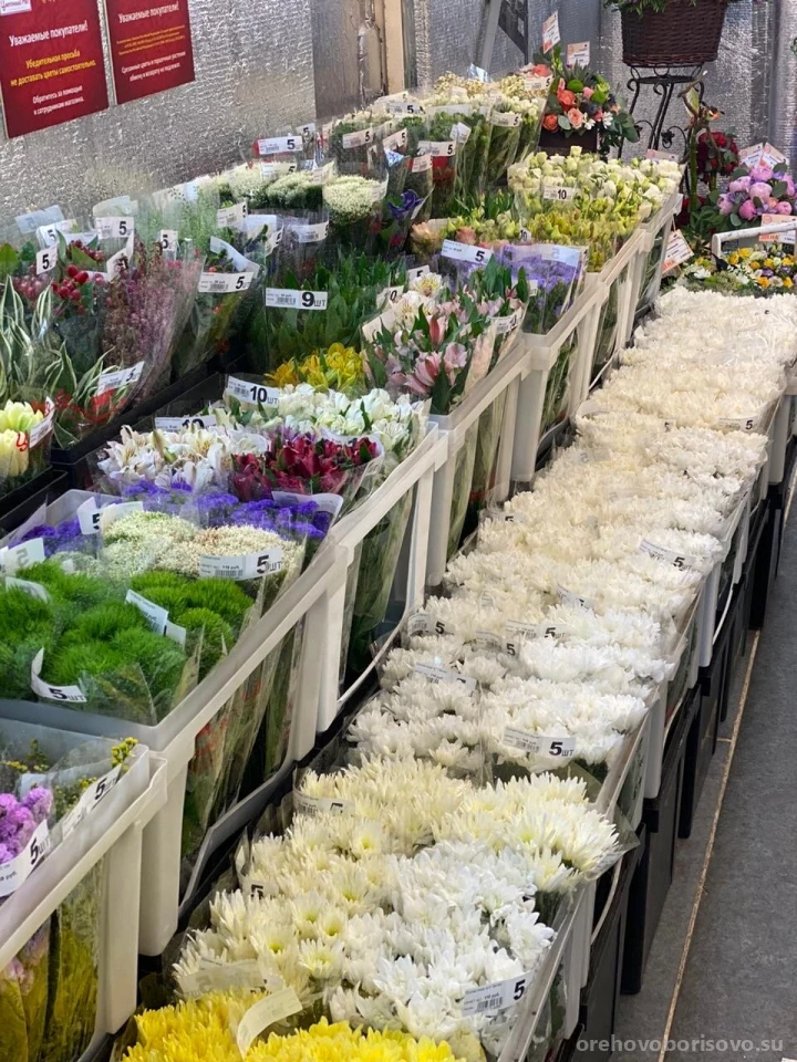 Цветочный супермаркет Цветочный ряд в Шипиловском проезде Изображение 6