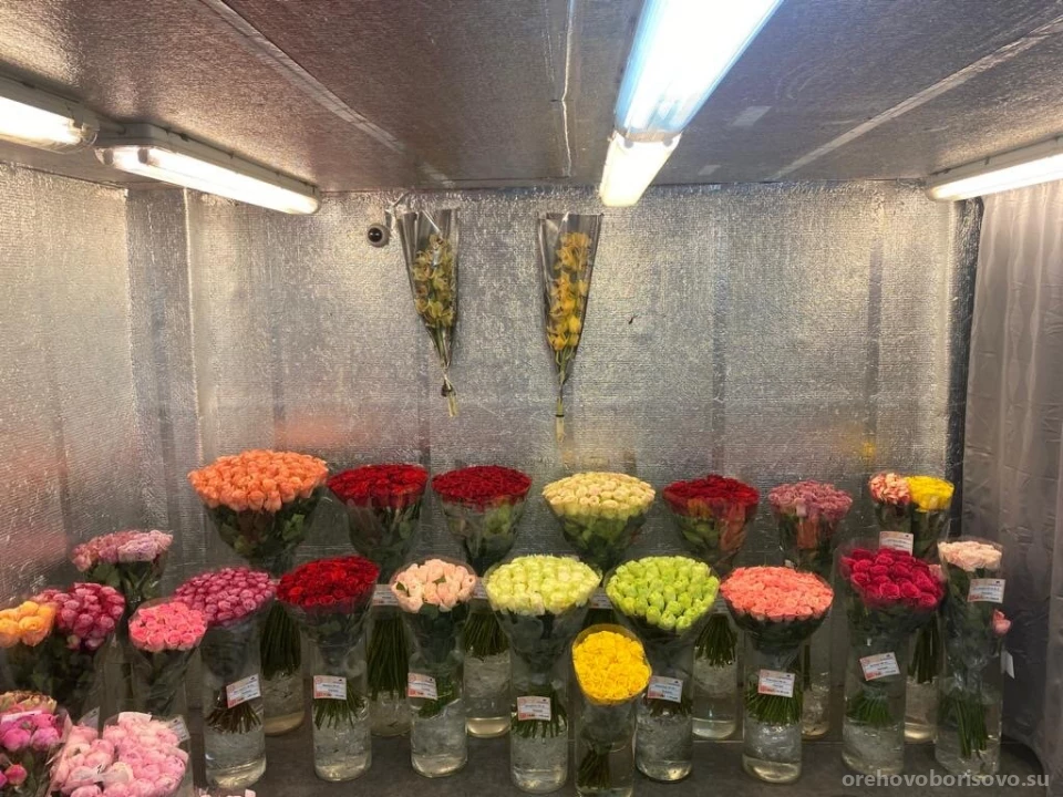 Цветочный супермаркет Цветочный ряд в Шипиловском проезде Изображение 7