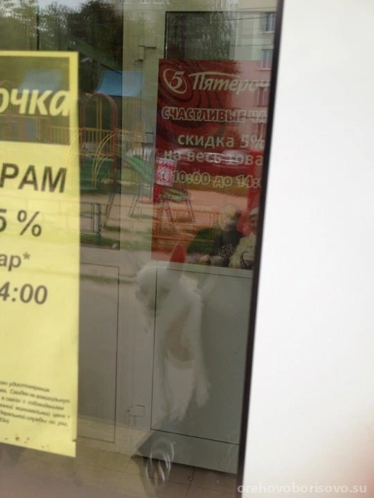 Супермаркет Пятёрочка в Борисовском проезде Изображение 5